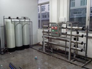 2吨手动纯水设备